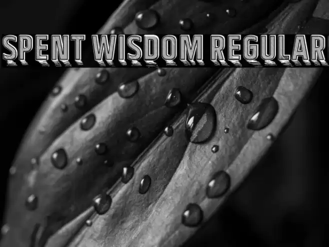 Spent Wisdom Regular Font examples