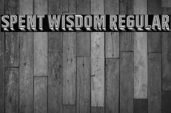 Spent Wisdom Regular Font examples