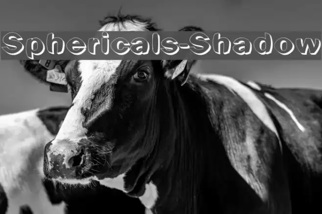 Sphericals-Shadow Font examples