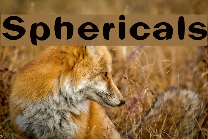Sphericals Font examples
