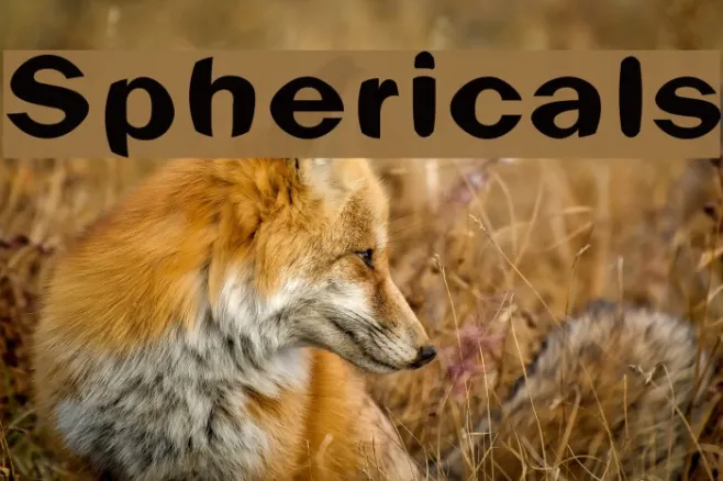Sphericals Example 1