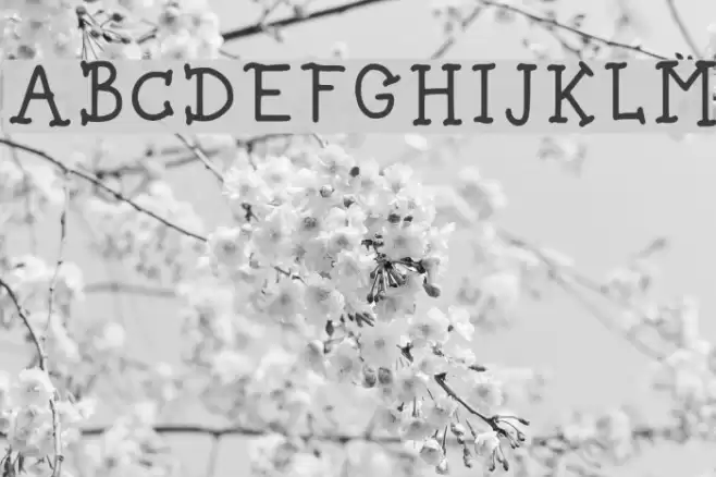 Spice Bae Pirate Regular Font examples