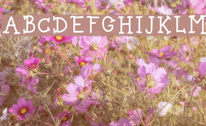 Spice Bae Pirate Regular Example 3