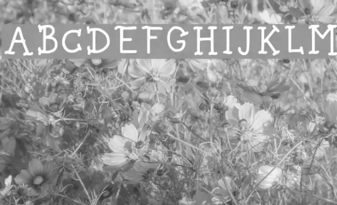 Spice Bae Pirate Regular Font examples