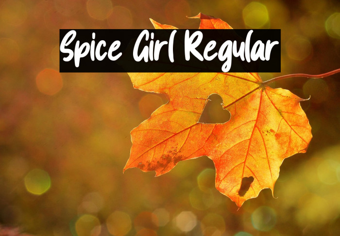 Spice Girl Regular Example 2