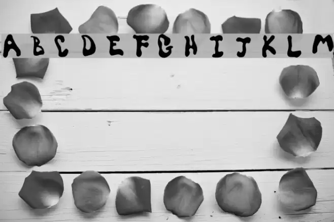 SpiceGrrl Font examples