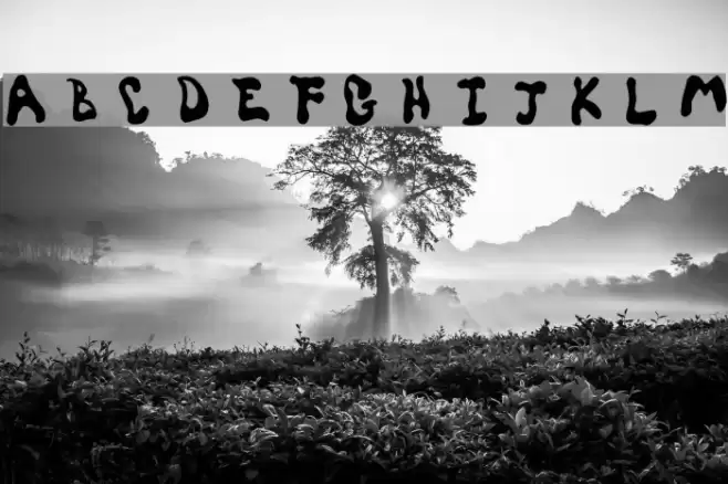 SpiceGrrl Font examples