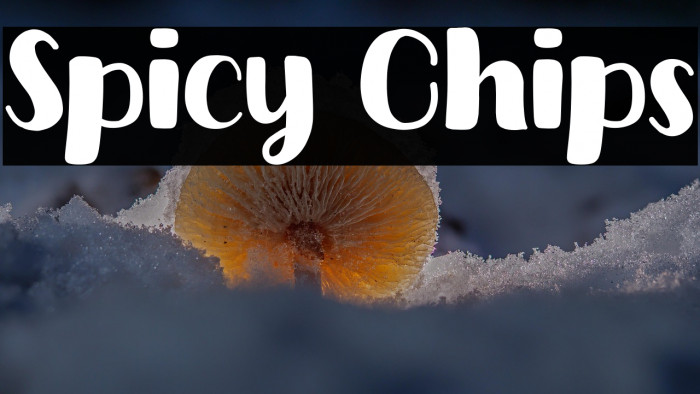 Spicy Chips Example 1