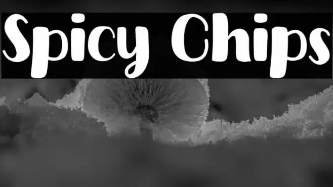 Spicy Chips Font examples