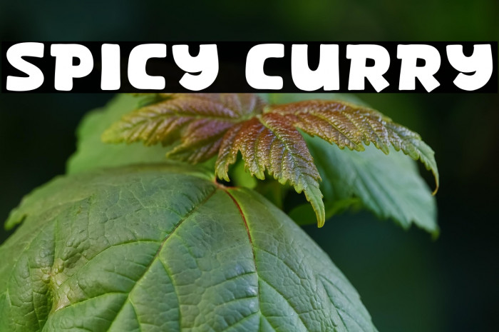 Spicy Curry Example 3