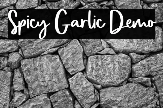Spicy Garlic Demo Font examples