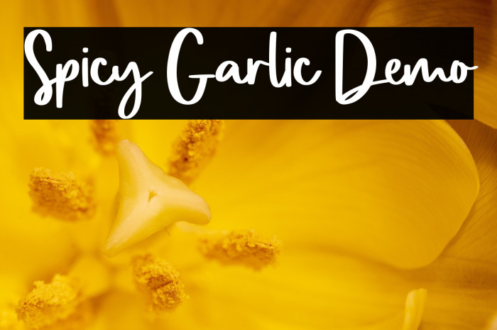 Spicy Garlic Demo Example 3