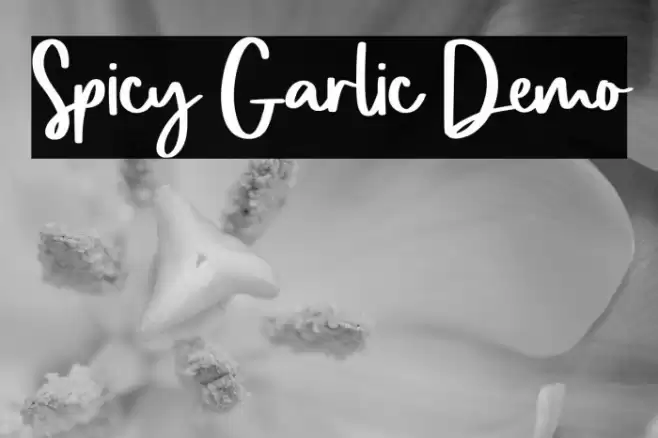 Spicy Garlic Demo Font examples