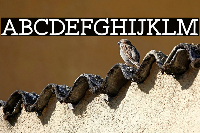 Spicy Kebab Example 2