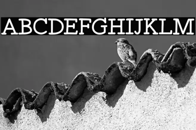 Spicy Kebab Font examples