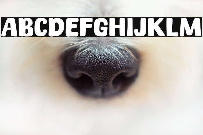 Spicy Noodle Example 2