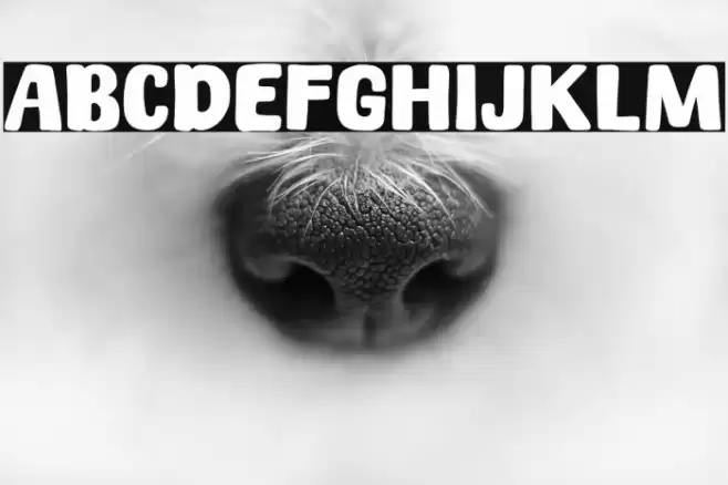 Spicy Noodle Font examples