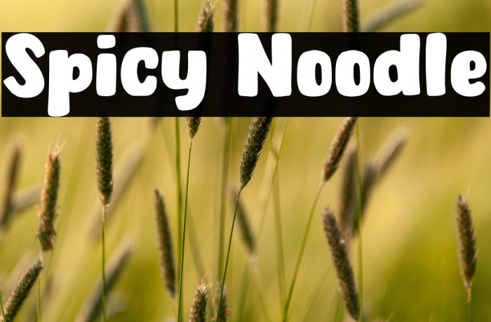 Spicy Noodle Example 2