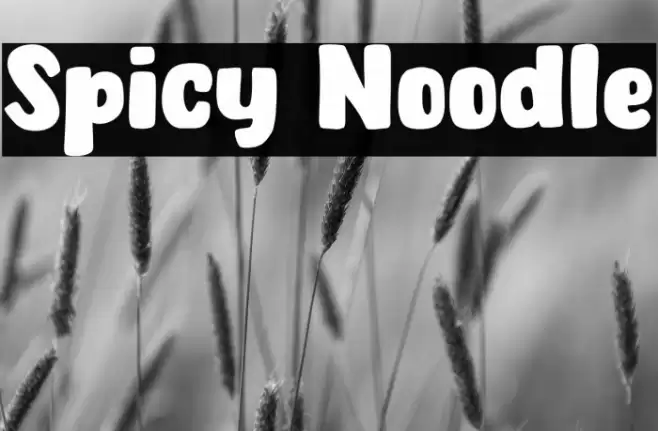 Spicy Noodle Font examples