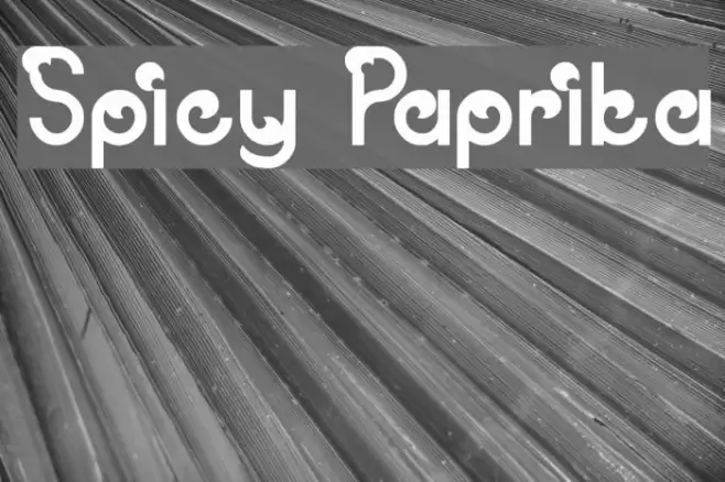 Spicy Paprika Font examples