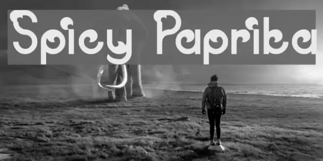 Spicy Paprika Font examples