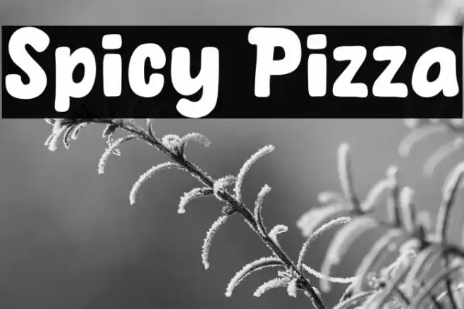 Spicy Pizza Polices examples