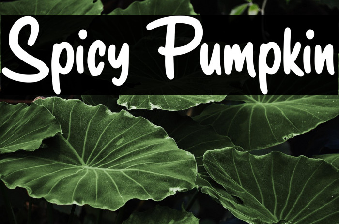 Spicy Pumpkin Example 2