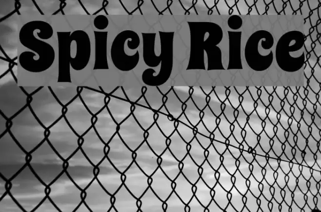 Spicy Rice Font examples