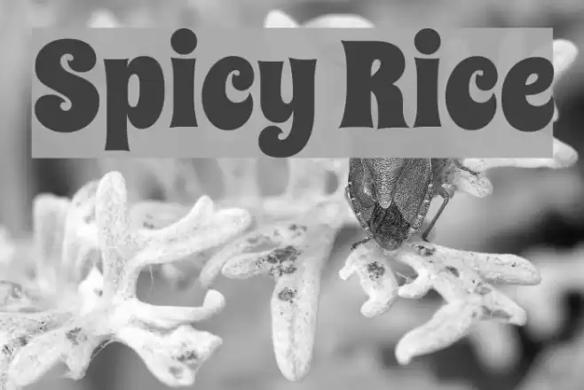 Spicy Rice Font examples
