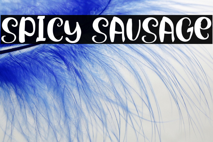 Spicy Sausage Example 3