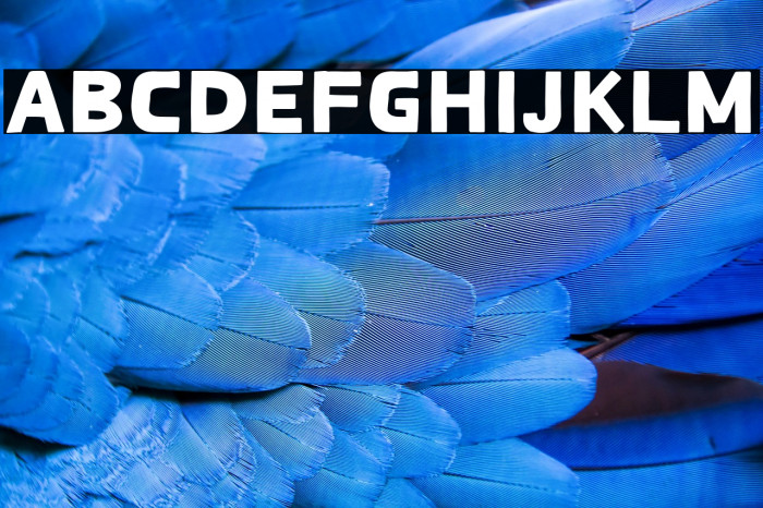 Spicy Shrimp Example 1