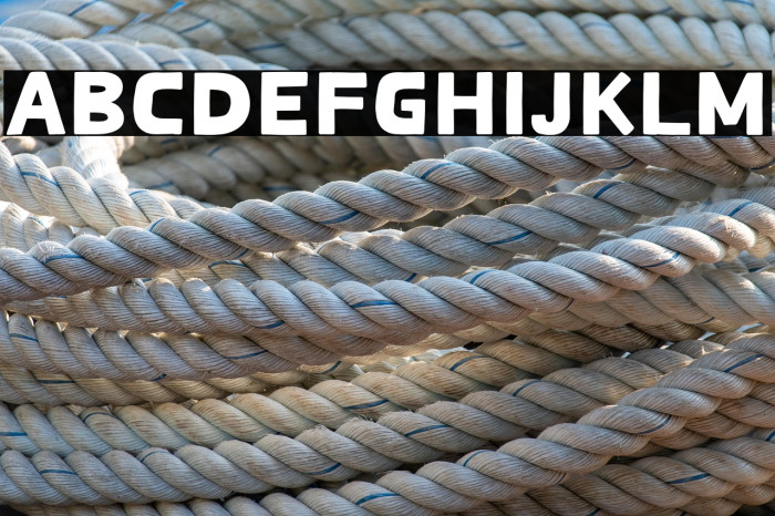 Spicy Shrimp Example 1