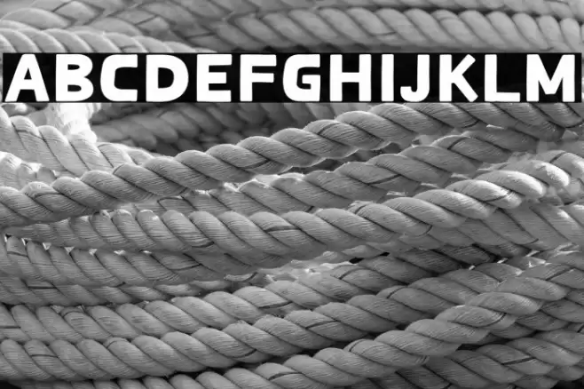 Spicy Shrimp Font examples