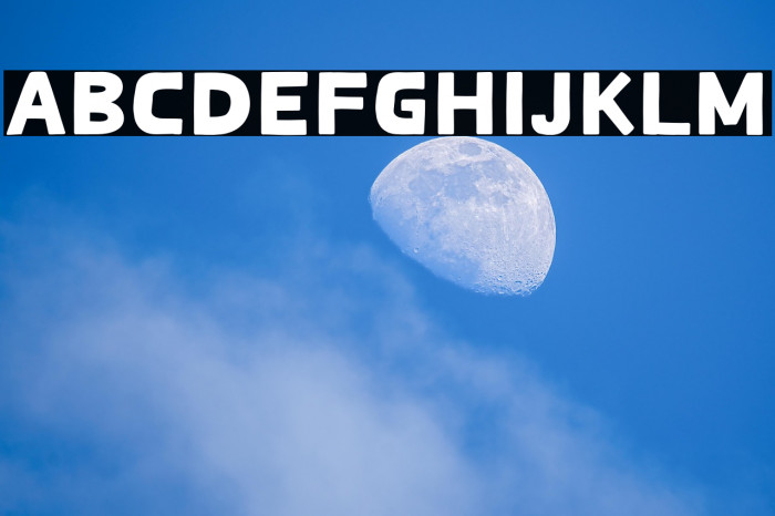 Spicy Shrimp Example 3