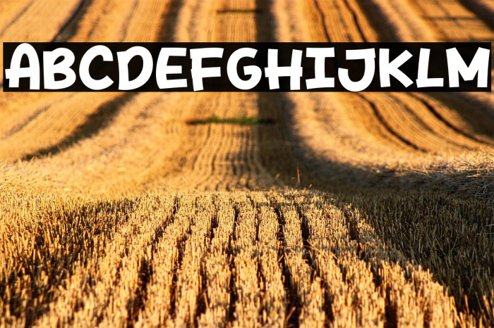 Spicy Style Example 3