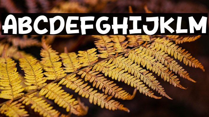 Spicy Style Example 1