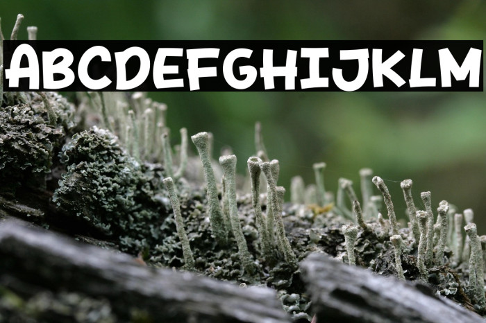 Spicy Style Example 2