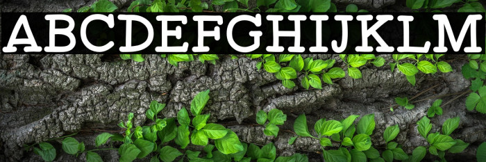 Spicy Taquito Example 1