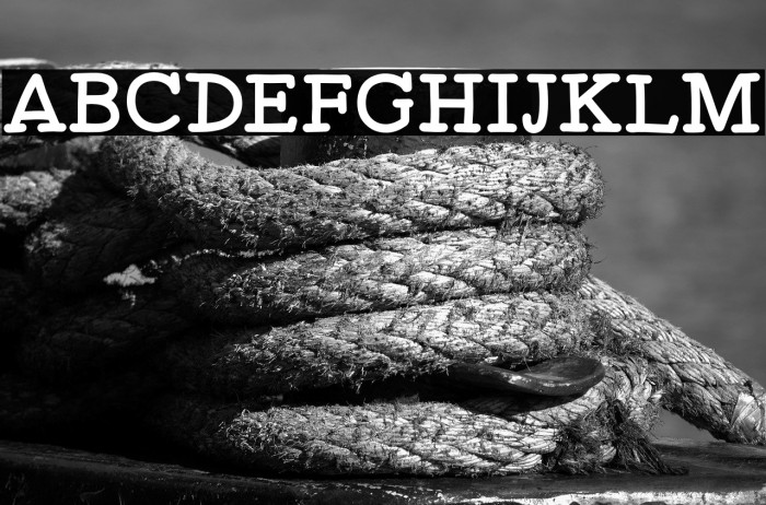 Spicy Taquito Example 3