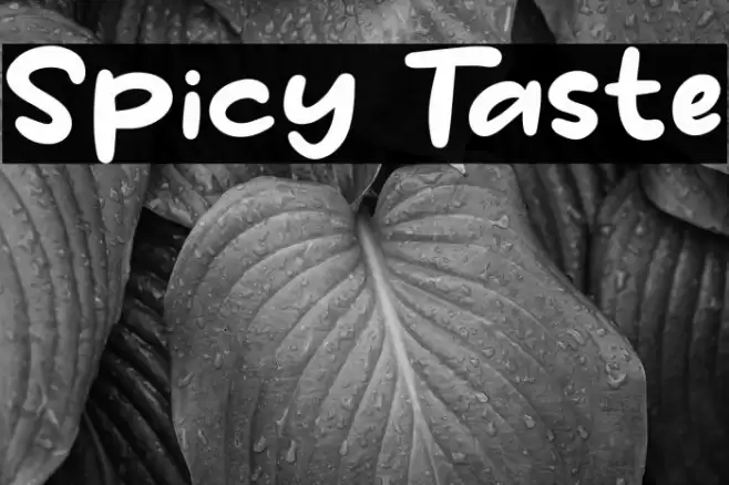 Spicy Taste Font examples