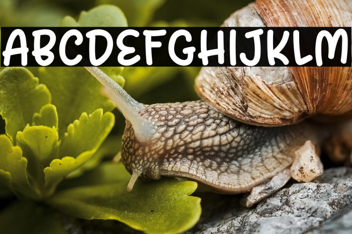 Spicy Tuna DEMO Example 1