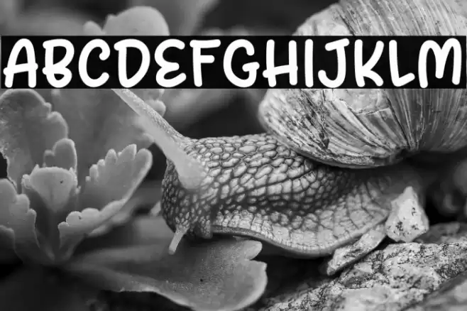 Spicy Tuna DEMO Font examples