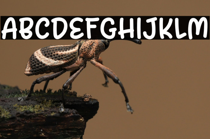 Spicy Tuna DEMO Example 2