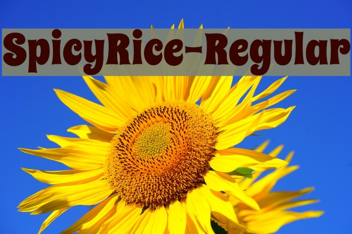 SpicyRice-Regular Example 1