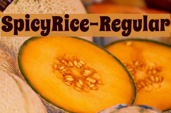 SpicyRice-Regular Example 2