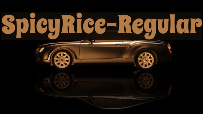 SpicyRice-Regular Example 3