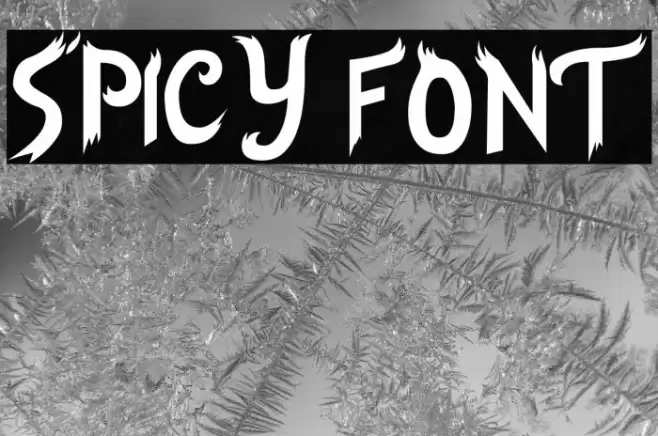 Spicy Font examples