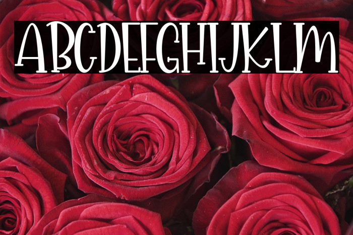 Spicyholic Example 2