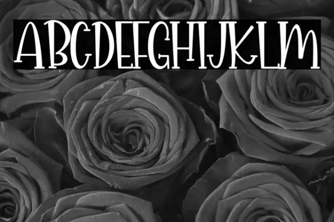 Spicyholic Font examples