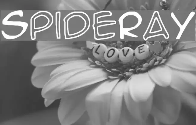 SpideRaY フォント examples